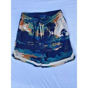 Veniceball National Park Puma Shorts Men's Sz Small Blue Casual Athletic Bottoms